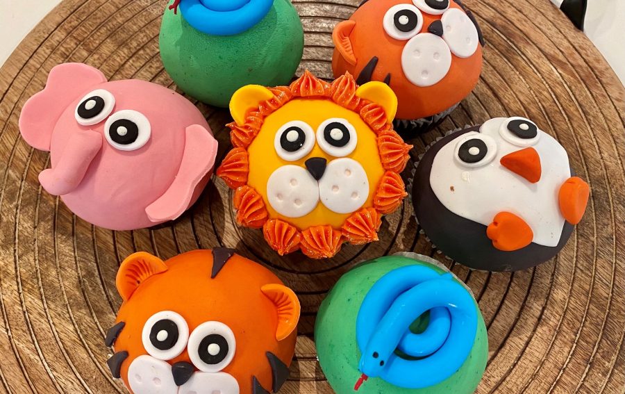 Zoo Birthday Cupcakes
